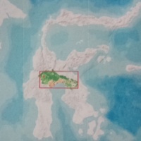 Tokalekaju, Rimba Terakhir yang Tersisa di Sulawesi